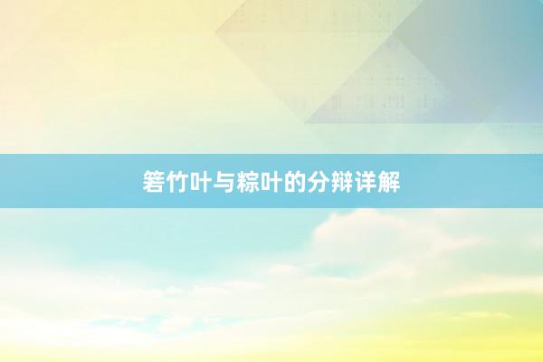 箬竹叶与粽叶的分辩详解